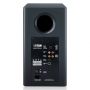 Активная полочная акустика Canton Smart Townus 2, black high gloss